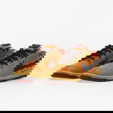 Superge in čevlji Nike Dunk Low Gtx Rjava | HQ2053-700, 5