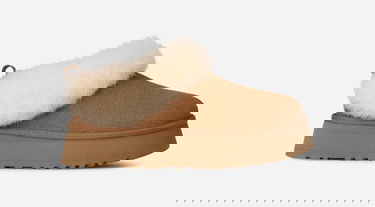 Superge in čevlji UGG Tazzelle Slippers Rjava | 1171393-CHE, 0