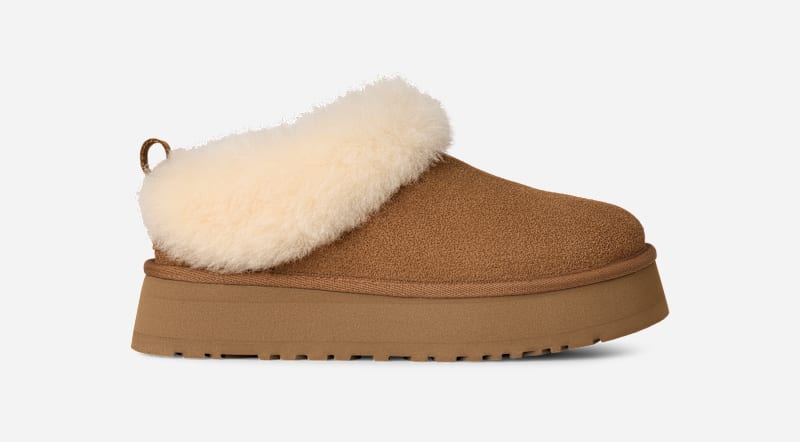 Superge in čevlji UGG Tazzelle Slippers Rjava | 1171393-CHE