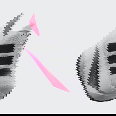 Superge in čevlji adidas Performance Duramo SL 2 Siva | IF9396, 2