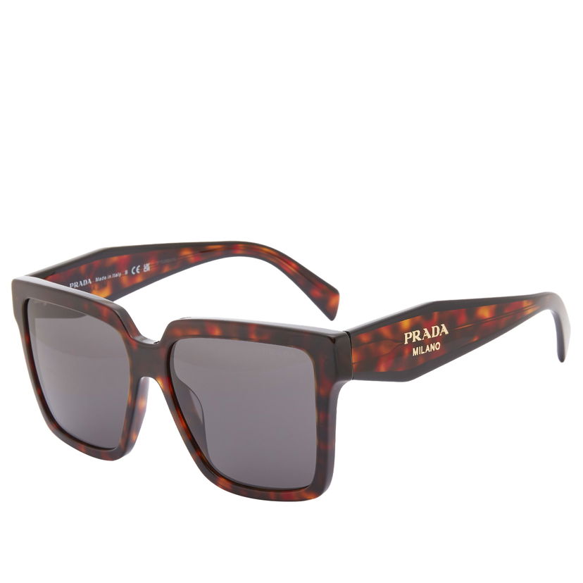 Sončna očala Prada Tortoise Shell Sunglasses Rjava | 0PR-24ZS-17N40L56