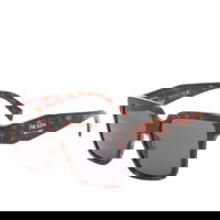 Tortoise Shell Sunglasses