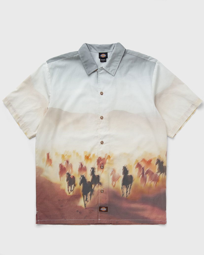 Srajce Dickies Running Wild Woven Shirt Večbarvna | DK0A8676K411