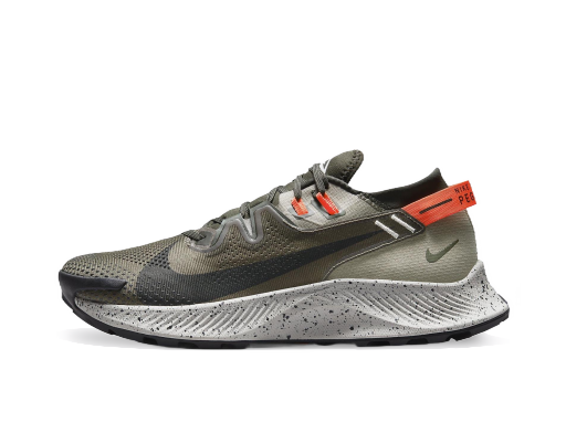 Tek Nike Pegasus Trail 2 Zelena | ck4305-301
