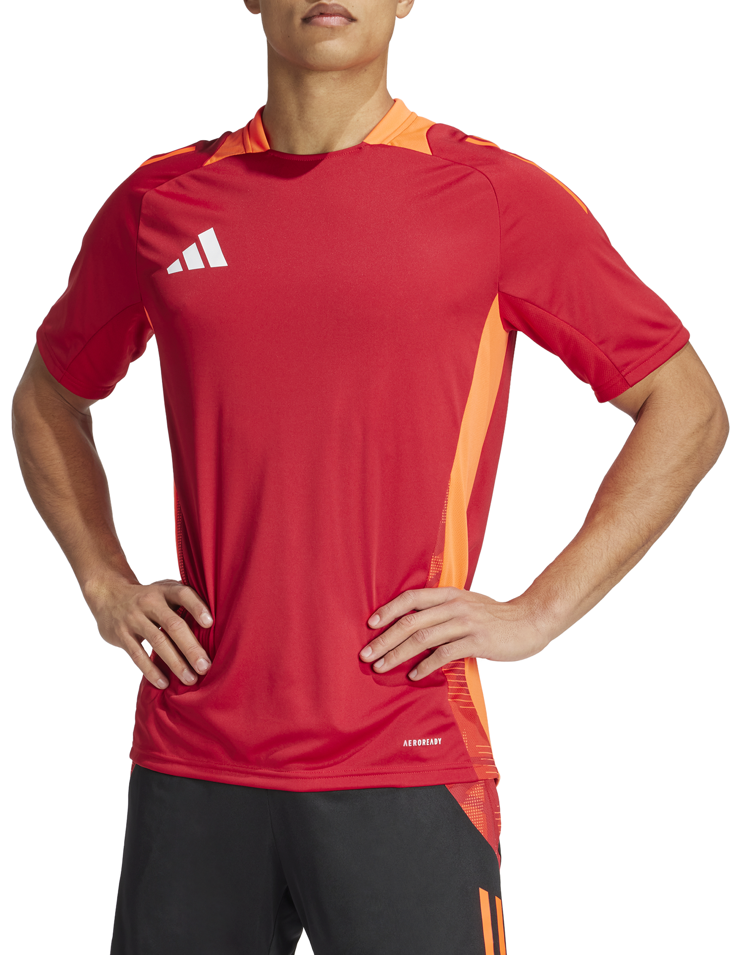 Dres adidas Originals adidas TIRO24 C TR JSY Rdeča | is1658, 0