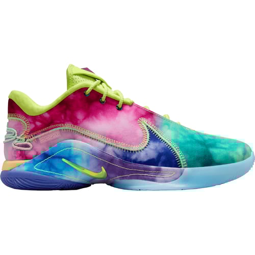 Superge in čevlji Nike Lebron XXII WTM Večbarvna | HV8080, 0