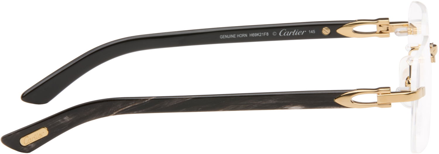 Sončna očala Cartier Rectangular Glasses Črna | CT0453O-001, 1