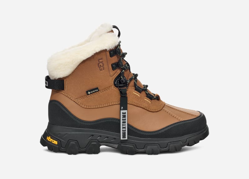 Superge in čevlji UGG Adirondack Meridian Hiking Boots Rjava | 1169032-CHE