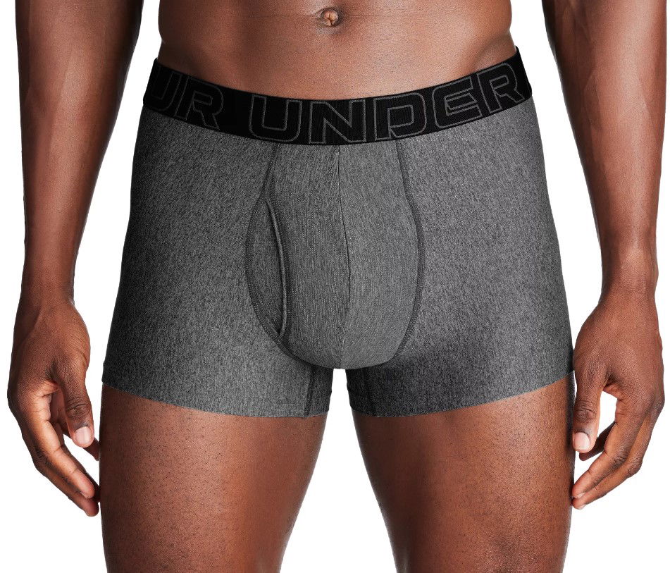 Boksarice Under Armour Under Armour Perf Tech 3in Boxer Briefs Siva | 1383877-025, 0