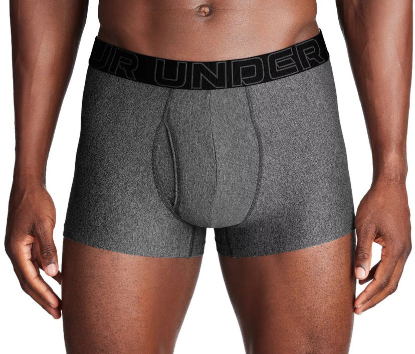 Boksarice Under Armour Under Armour Perf Tech 3in Boxer Briefs Siva | 1383877-025