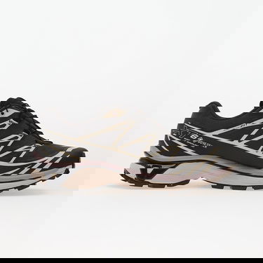 Superge in čevlji Salomon Xt-6 Gore-tex Siva | L47861400, 3