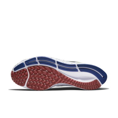 Superge in čevlji Nike Air Zoom Pegasus 38 A.I.R. Kelly Anna London Večbarvna | DD1827-001, 4