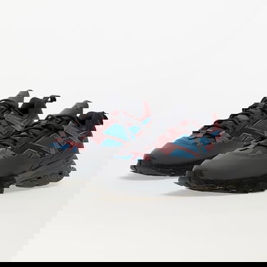 Superge in čevlji Reebok DMX Trail Shadow Classic Siva | IE2154, 5