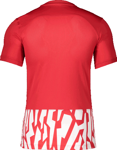 Dres Nike Nike DF GX1 Jersey Rdeča | dr2713-657, 1