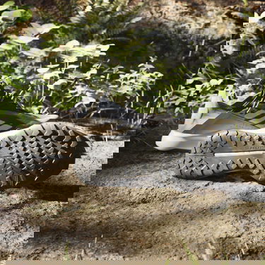 Superge in čevlji adidas Performance adidas TERREX Boty Terrex Voyager 21 Slip-On HEAT.RDY Travel Črna | IE2599, 3