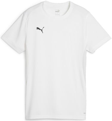 Dres Puma Dres teamGOAL Jersey W Siva | 658638-04, 0