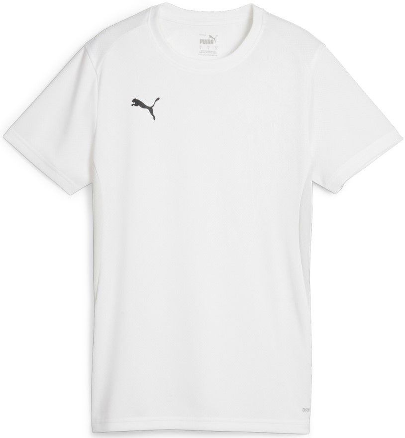 Dres Puma Dres teamGOAL Jersey W Siva | 658638-04