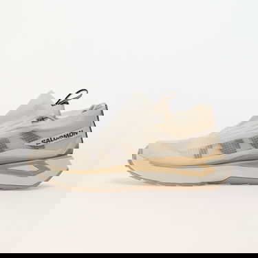 Superge in čevlji Salomon Odyssey Elmt Advanced Clear Vanilla Ice/ Bleached Sand/ Safari Bež | L47419500, 0