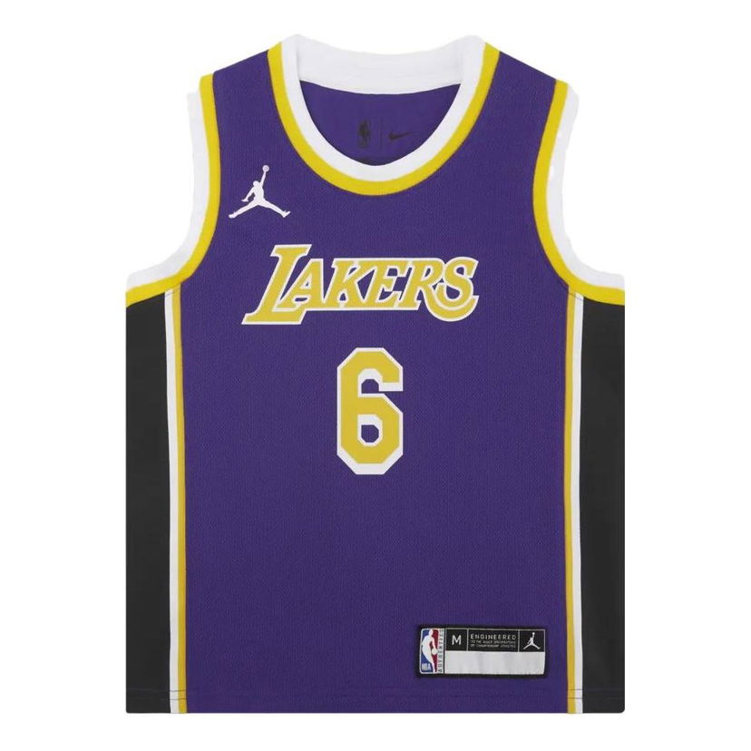 Dres Jordan Air Jordan NBA Los Angeles Lakers LeBron James Jersey Lila | DR1055-504