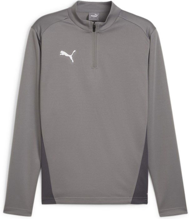 Pulover Puma teamGOAL Training 1/4 Zip Sweatshirt Siva | 658629-13