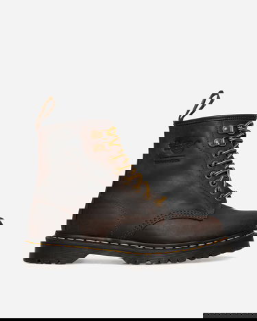 Superge in čevlji Dr. Martens thisisneverthat x 1460 "Dark Brown" Rjava | 32181523, 1