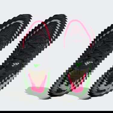 Superge in čevlji adidas Performance Ultraboost Light Črna | IF2416, 2