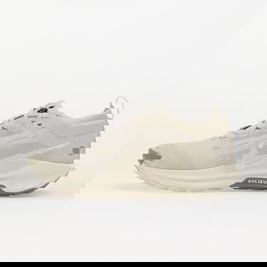 Superge in čevlji Nike Pegasus Trail 5 Gore-Tex Bež | FQ0912-006, 0