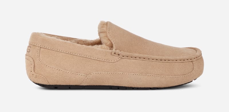 Oblačila UGG ® Ascot Slipper for Bež | 1101110-SAN, 0
