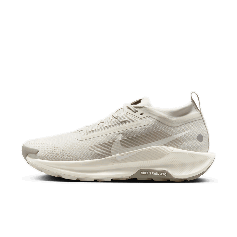 Superge in čevlji Nike Pegasus Trail 5 GORE-TEX Bež | FQ0908-008