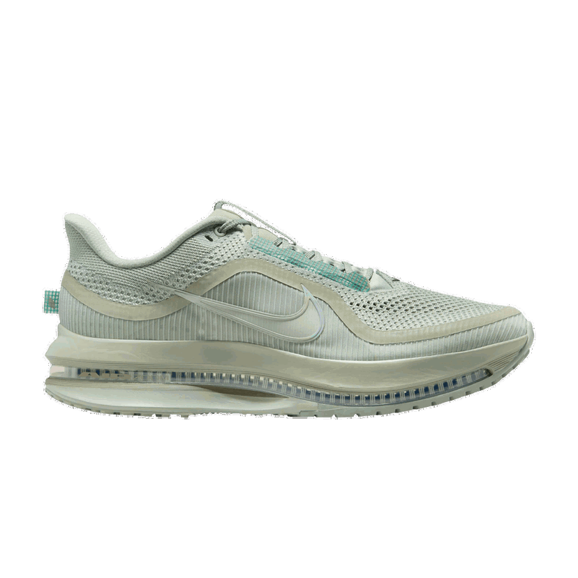 Superge in čevlji Nike Pegasus Premium Zelena | HQ2592-300