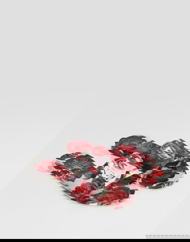 Modni dodatki Dolce & Gabbana Dolce & Gabbana Floral Print Rubber Slides Večbarvna | CW2215A6L05HA5KQ, 1