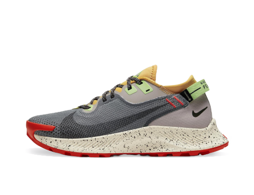 Tek Nike Pegasus Trail 2 GTX W Rjava | cu2018-002