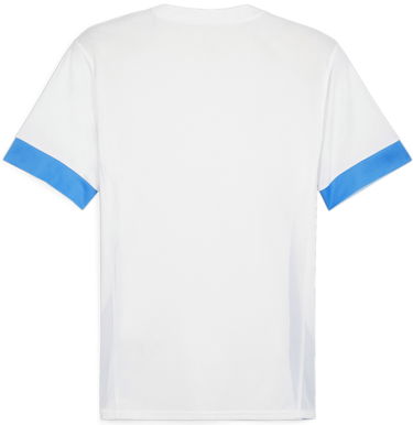 Dres Puma teamGOAL Matchday Jersey Siva | 705747-12, 1