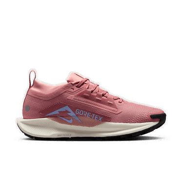 Superge in čevlji Nike Pegasus Trail 5 GORE-TEX Roza | FQ0912-602, 1