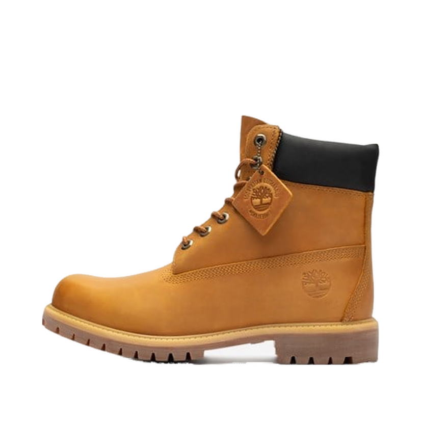 Superge in čevlji Timberland 6 Inch Premium Boot Rjava | TB0A655H2311