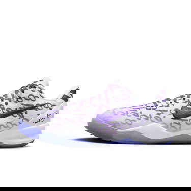 Superge in čevlji Nike KOBE 8 PROTRO GS COURT Siva | FN0266-101, 0