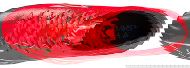 Superge in čevlji Mizuno Mizuno Alpha Elite FG Rdeča | p1ga2362-064, 1