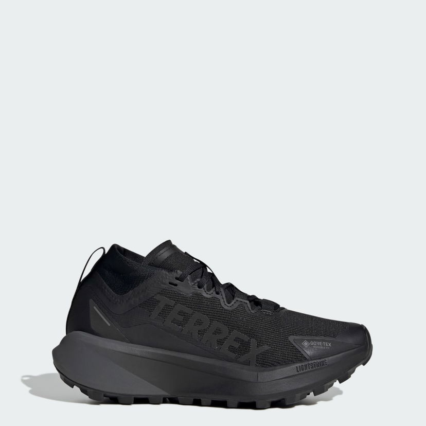 Superge in čevlji adidas Performance Terrex Agravic GTX Črna | JR5247