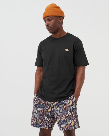 Majica Dickies MAPLETON TEE Črna | 194903388614, 1
