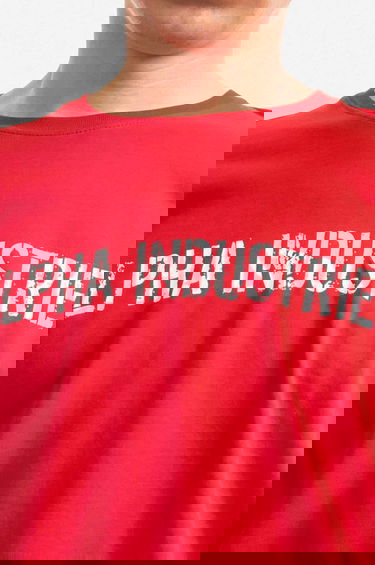 Majica Alpha Industries T-Shirt With Print Rdeča | 116512.451, 4