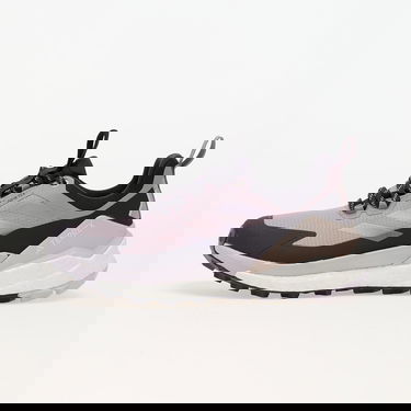 Superge in čevlji adidas Performance Terrex Free Hiker 2 Low Gtx W Prlofi/ Silver Dawn/ Aurbla Lila | IH3540, 0