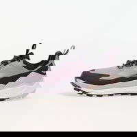 Terrex Free Hiker 2 Low Gtx W Prlofi/ Silver Dawn/ Aurbla