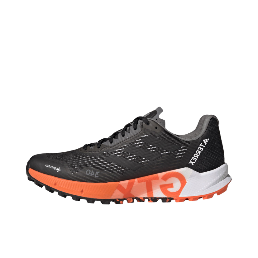 Outdoor adidas Performance TERREX AGRAVIC FLOW 2 GTX Črna | hr1110