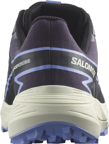 Superge in čevlji Salomon THUNDERCROSS GTX W Črna | l47441100, 1