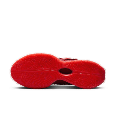 Superge in čevlji Nike LeBron 21 Rdeča | HF5951-600, 3