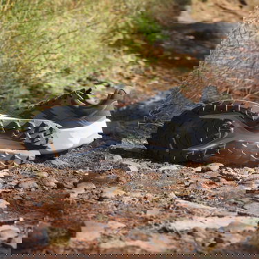 Superge in čevlji adidas Performance adidas TERREX Črna | IE8453, 4