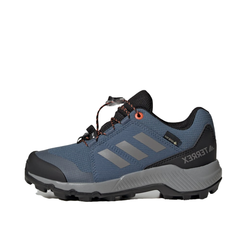 Superge in čevlji adidas Performance Terrex GORE-TEX Hiking Shoes Modra | JI1358