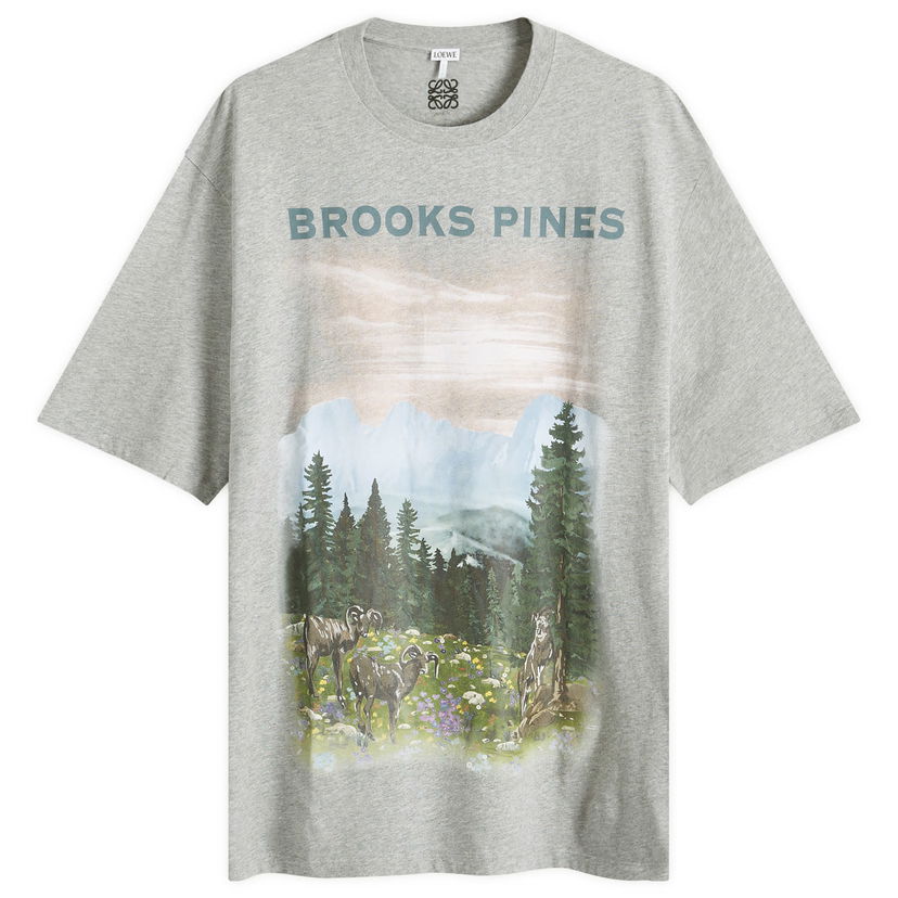 Majica Loewe Mountain Graphic T-Shirt Siva | H526Y22XBB-1440