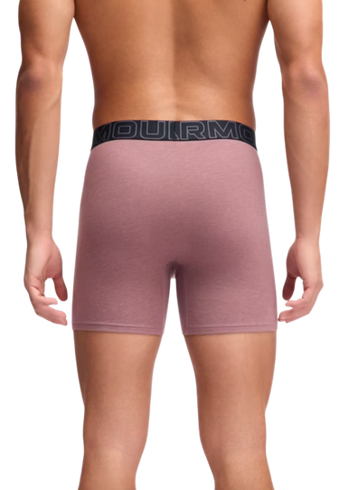 Boksarice Under Armour Under Armour SOLID 6in 3 Pack Boxer Shorts Večbarvna | 1383889-651, 2