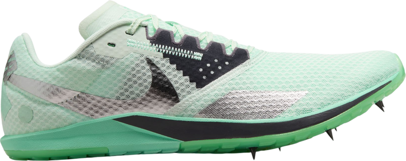 Superge in čevlji Nike Rival XC 6 Zelena | dx7999-300
